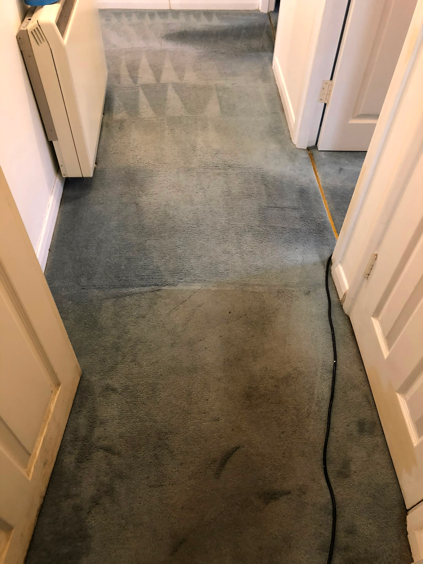 Hallway carpet clean