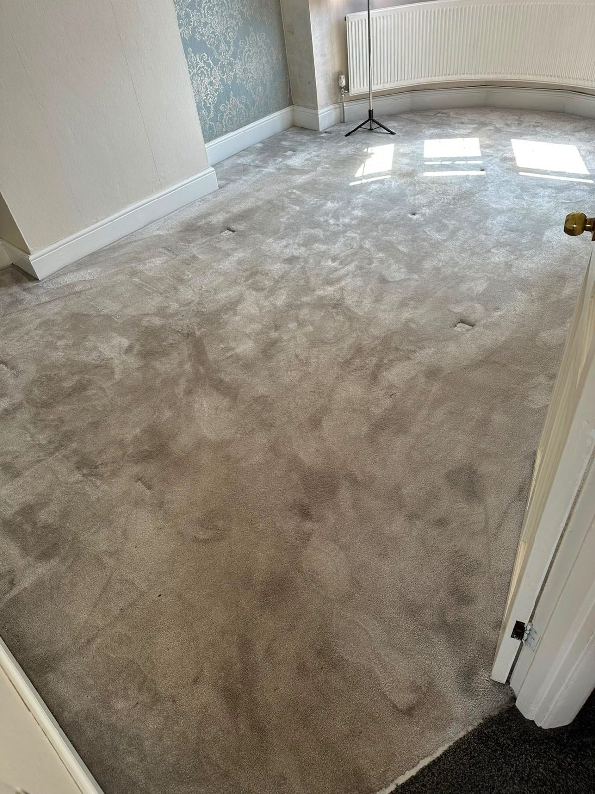 Bedroom carpet before cleaning, heavily soiled with grey traffic marks